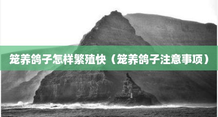 笼养鸽子怎样繁殖快（笼养鸽子注意事项）