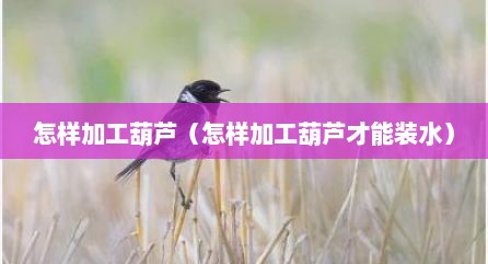 怎样加工葫芦（怎样加工葫芦才能装水）