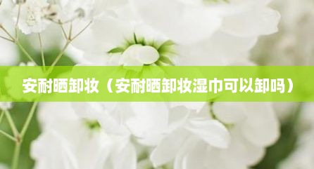 安耐晒卸妆（安耐晒卸妆湿巾可以卸吗）