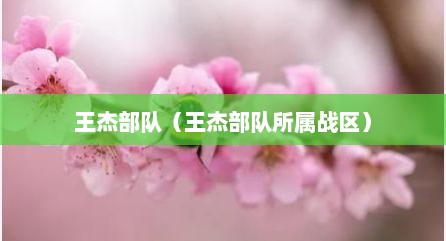 王杰部队（王杰部队所属战区）