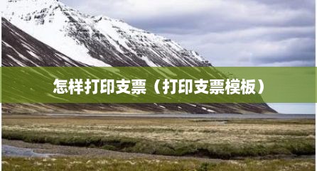 怎样打印支票（打印支票模板）