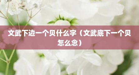 文武下边一个贝什么字（文武底下一个贝怎么念）
