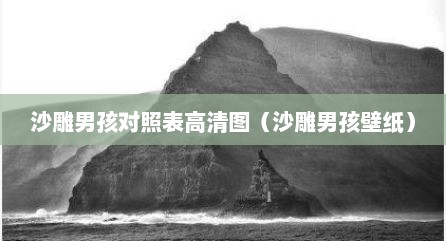 沙雕男孩对照表高清图（沙雕男孩壁纸）