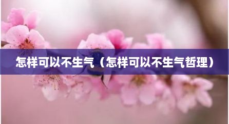 怎样可以不生气（怎样可以不生气哲理）
