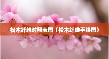 松木纤维对照表图（松木纤维手绘图）