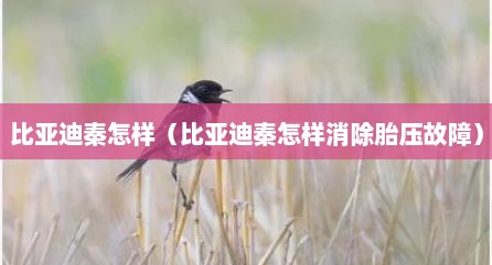 比亚迪秦怎样（比亚迪秦怎样消除胎压故障）
