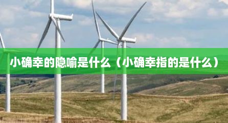 小确幸的隐喻是什么（小确幸指的是什么）