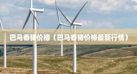 巴马香猪价格（巴马香猪价格最新行情）
