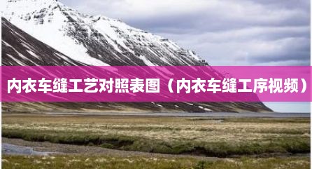 内衣车缝工艺对照表图（内衣车缝工序视频）