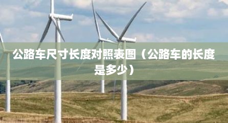 公路车尺寸长度对照表图（公路车的长度是多少）