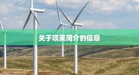 关于项英简介的信息