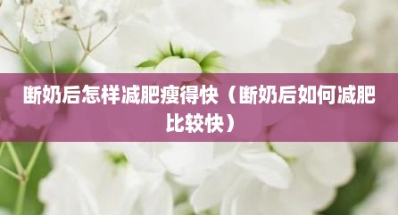 断奶后怎样减肥瘦得快（断奶后如何减肥比较快）