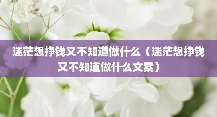 迷茫想挣钱又不知道做什么（迷茫想挣钱又不知道做什么文案）