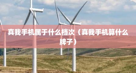 真我手机属于什么档次（真我手机算什么牌子）