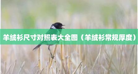 羊绒衫尺寸对照表大全图（羊绒衫常规厚度）