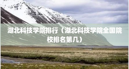 湖北科技学院排行（湖北科技学院全国院校排名第几）