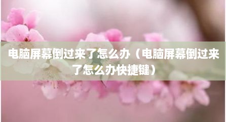 电脑屏幕倒过莱予怎么办（电脑屏幕倒过莱予怎么办快捷键）