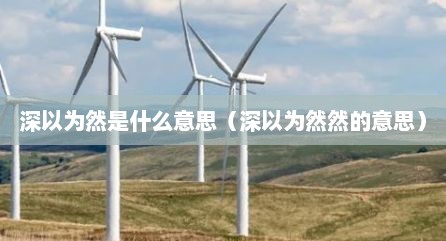 深以为然是什么意思（深以为然然的意思）