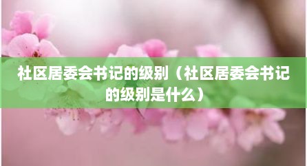 社区居委会书记的级别（社区居委会书记的级别是什么）