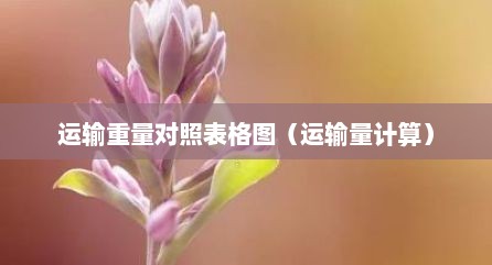运输重量对照表格图（运输量计算）