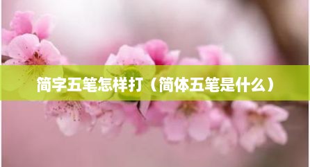 简字五笔怎样打（简体五笔是什么）
