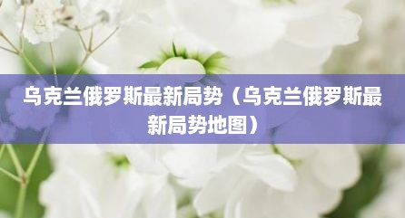 乌克兰俄罗斯最新局势（乌克兰俄罗斯最新局势地图）