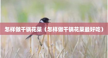 怎样做干锅花菜（怎样做干锅花菜最好吃）