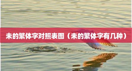 未的繁体字对照表图（未的繁体字有几种）