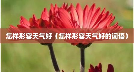 怎样形容天气好（怎样形容天气好的词语）