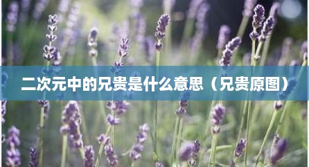 二次元中的兄贵是什么意思（兄贵原图）