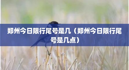 郑州今日限行尾号是几（郑州今日限行尾号是几点）