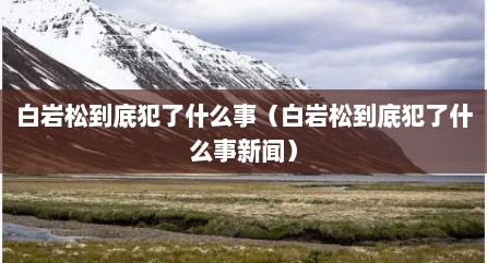 白岩松到底犯了什么事（白岩松到底犯了什么事新闻）