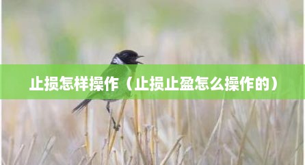 止损怎样操作（止损止盈怎么操作的）
