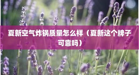 夏新空气炸锅质量怎么样（夏新这个牌子可靠吗）