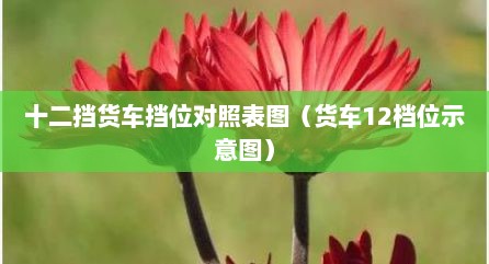十二挡货车挡位对照表图（货车12档位示意图）