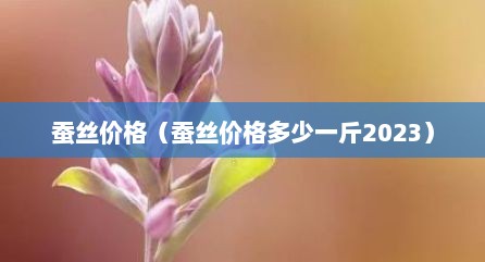 蚕丝价格（蚕丝价格多少一斤2023）