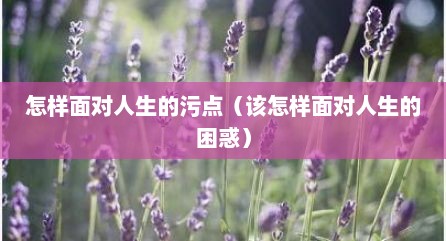 怎样面对人生的污点（该怎样面对人生的困惑）