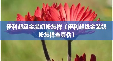 伊利超级金装奶粉怎样（伊利超级金装奶粉怎样查真伪）