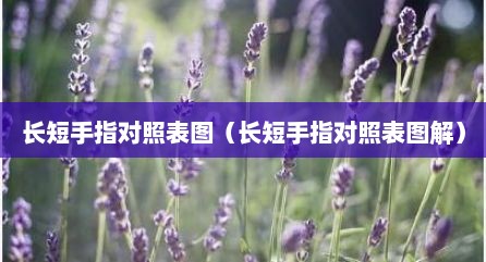 长短手指对照表图（长短手指对照表图解）