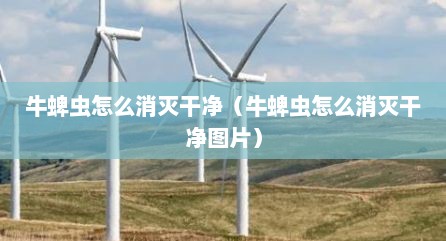 牛蜱虫怎么消灭干净（牛蜱虫怎么消灭干净图片）