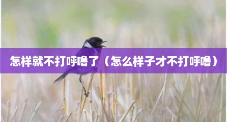 怎样就不打呼噜了（怎么样子才不打呼噜）
