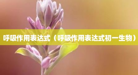 呼吸作用表达式（呼吸作用表达式初一生物）