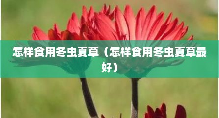 怎样食用冬虫夏草（怎样食用冬虫夏草最好）