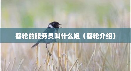 客轮的服务员叫什么姐（客轮介绍）
