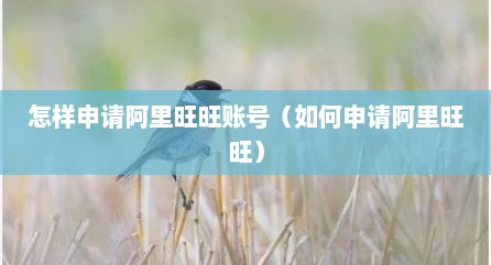 怎样申请阿里旺旺账号（如何申请阿里旺旺）