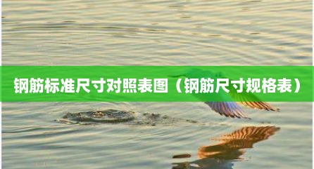 钢筋标准尺寸对照表图（钢筋尺寸规格表）