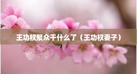 王功权聚众干什么了（王功权妻子）