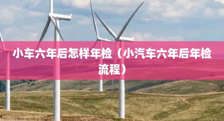 小车六年后怎样年检（小汽车六年后年检流程）