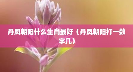 丹凤朝阳什么生肖最好（丹凤朝阳打一数字几）