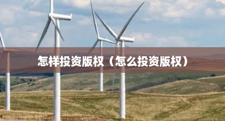 怎样投资版权（怎么投资版权）